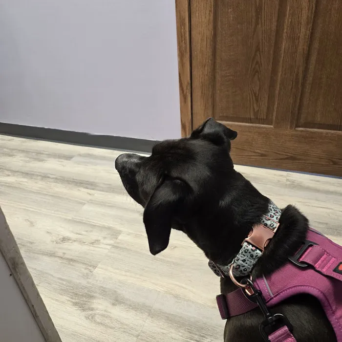 Isanti Pet Clinic Picture 4