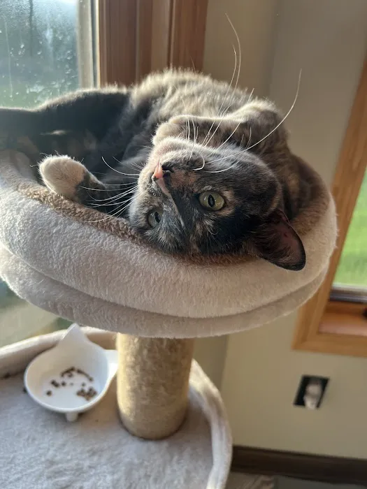 Isanti Pet Clinic Picture 5