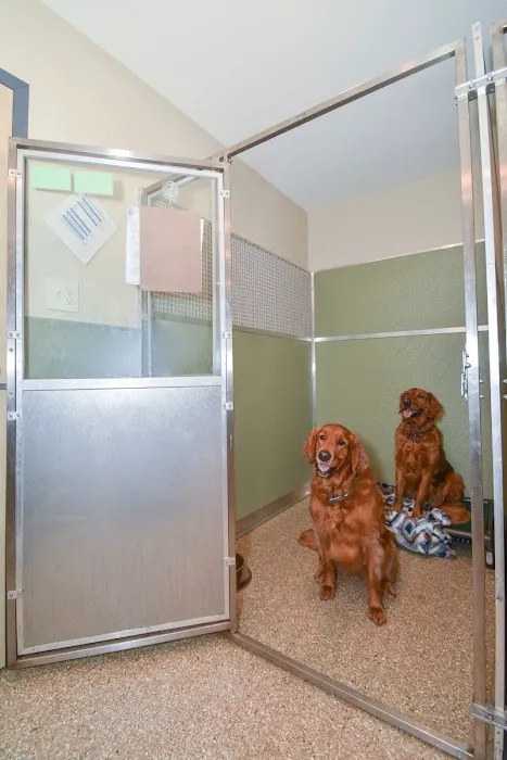 ZimmVet Picture 1