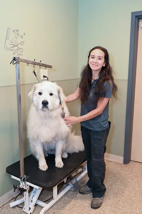 ZimmVet Picture 6