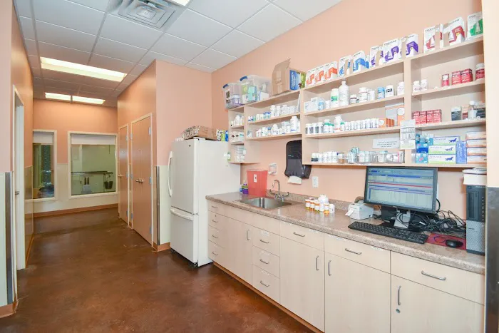 ZimmVet Picture 7