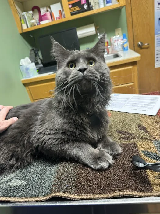 All Pets Veterinary Hospital & Equine Service - Dr. Joel Ihnen Picture 6