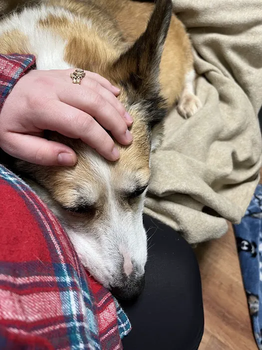 All Pets Veterinary Hospital & Equine Service - Dr. Joel Ihnen Picture 4