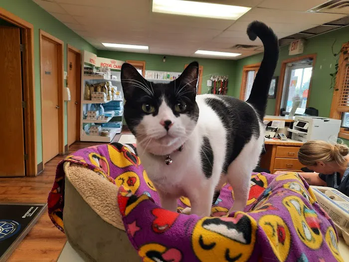 All Pets Veterinary Hospital & Equine Service - Dr. Joel Ihnen Picture 7