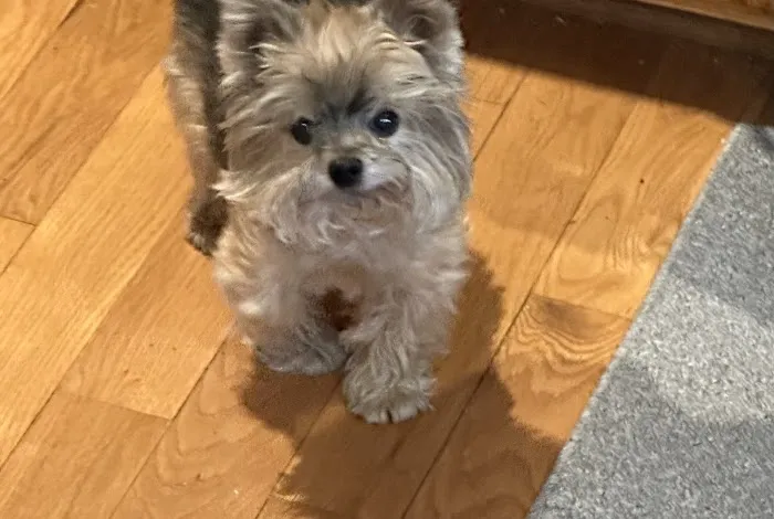 All Pets Veterinary Hospital & Equine Service - Dr. Joel Ihnen Picture 8