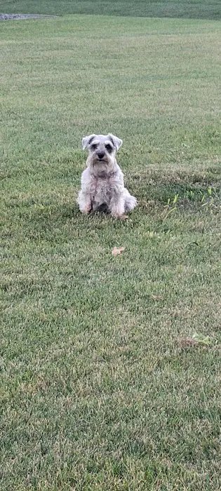 All Pets Veterinary Hospital & Equine Service - Dr. Joel Ihnen Picture 9