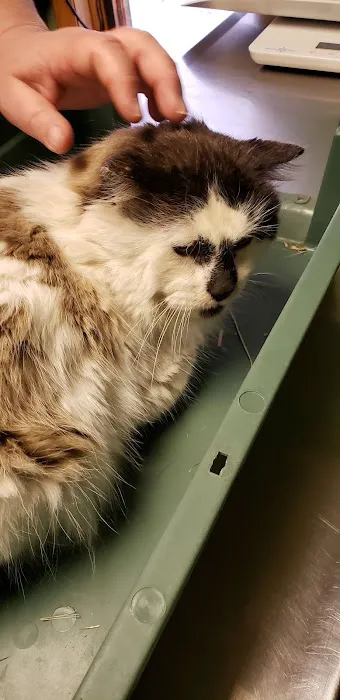 All Pets Vet Hospital & Equine Services Picture 1