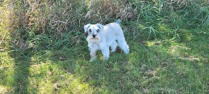 All Pets Vet Hospital & Equine Services Picture 5