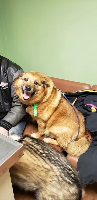 All Pets Vet Hospital & Equine Services Picture 9