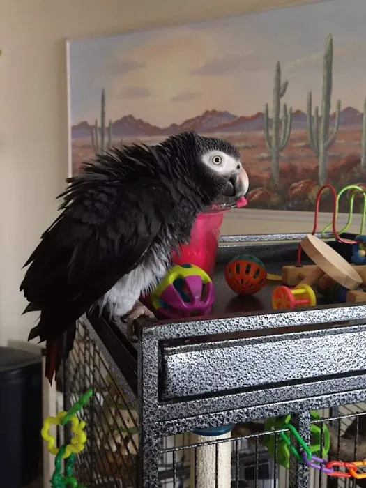 Animal & Exotic Wellness Center Picture 1