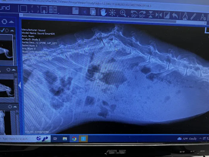 Animal & Exotic Wellness Center Picture 9