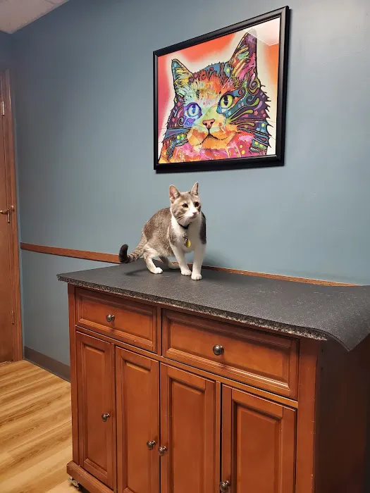Barrington Oaks Veterinary Hospital Picture 9