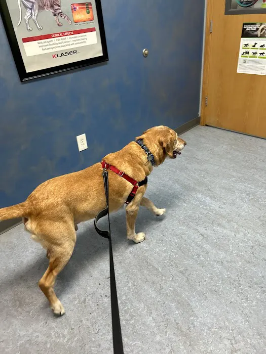 Kivisto Veterinary Clinic LLC Picture 2