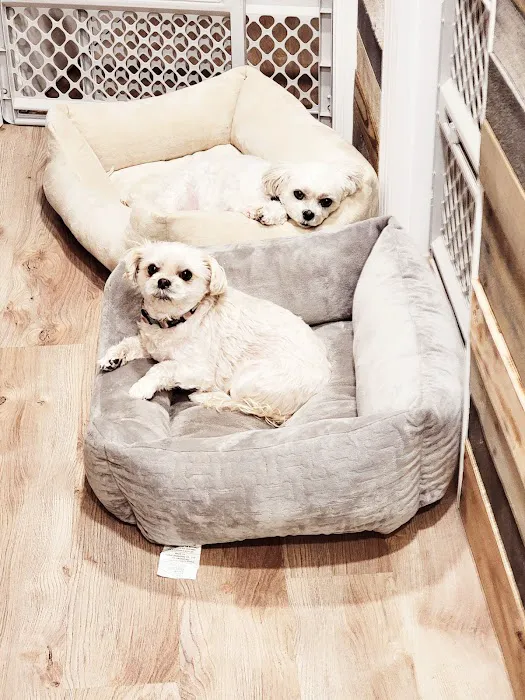 Kivisto Veterinary Clinic LLC Picture 6