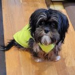 Hastings Veterinary Clinic Ltd
