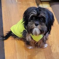 Hastings Veterinary Clinic Ltd ico