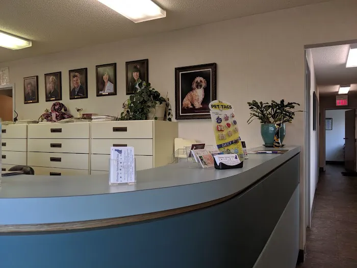 Hastings Veterinary Clinic Ltd Picture 7