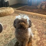 Lester Prairie Vet Clinic
