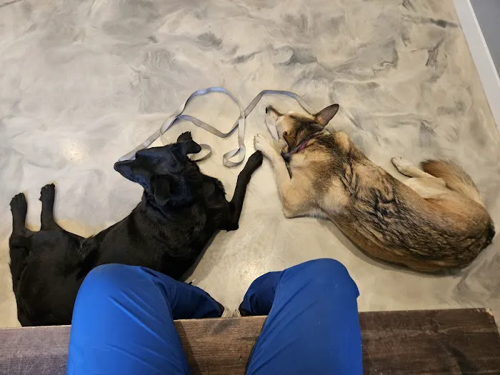 Lester Prairie Vet Clinic Picture 7