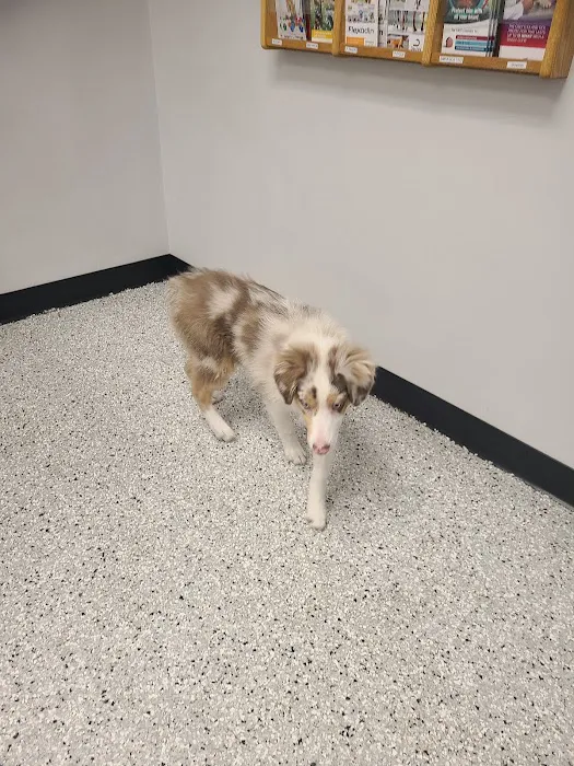 Glencoe Veterinary Clinic Picture 1