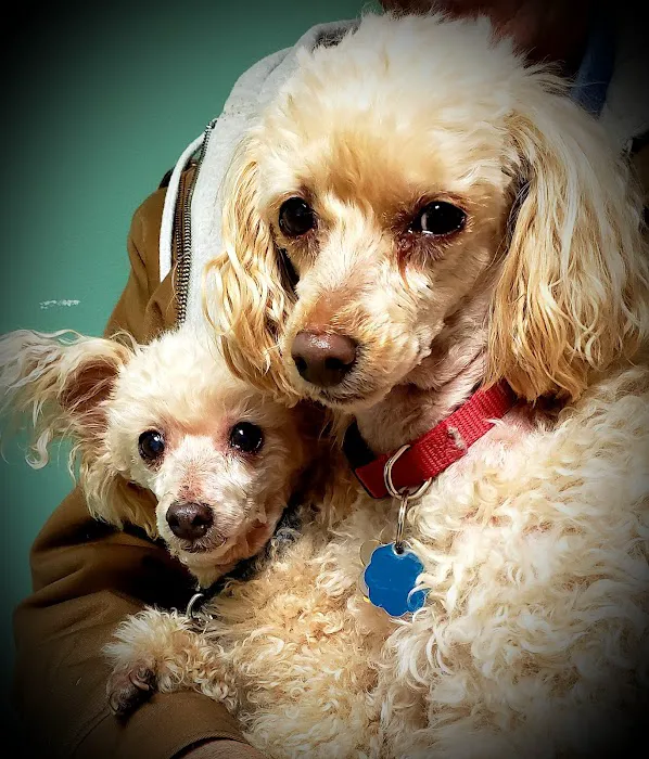 Glencoe Veterinary Clinic Picture 2