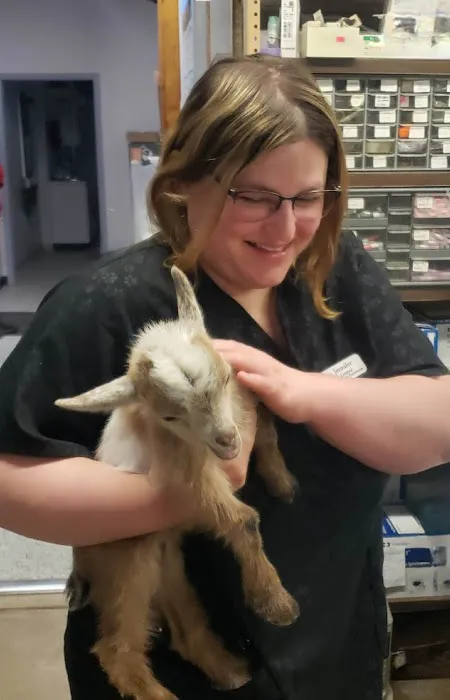 Glencoe Veterinary Clinic Picture 6