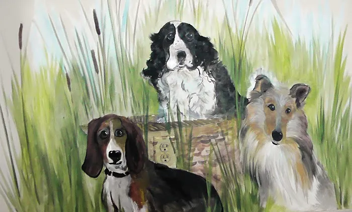 Belle Plaine Animal Hospital Picture 4