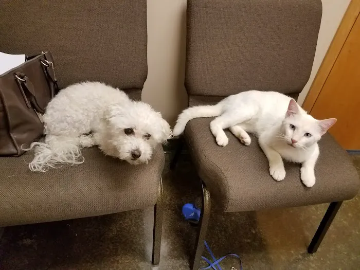 Belle Plaine Animal Hospital Picture 9