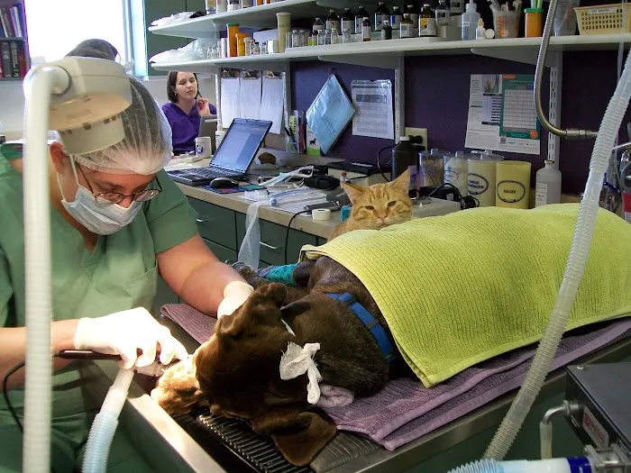 Belle Plaine Animal Hospital Picture 10