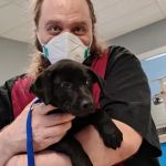 Crossroads Animal Shelter & Community Veterinary Clinic