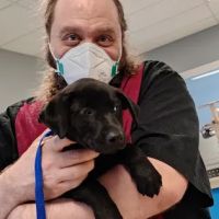 Crossroads Animal Shelter & Community Veterinary Clinic ico