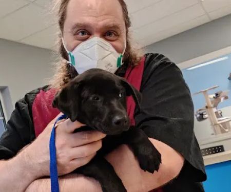 Crossroads Animal Shelter & Community Veterinary Clinic