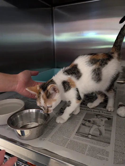 Crossroads Animal Shelter & Community Veterinary Clinic Picture 2