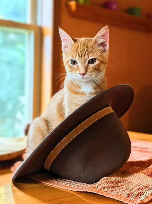 Crossroads Animal Shelter & Community Veterinary Clinic Picture 6