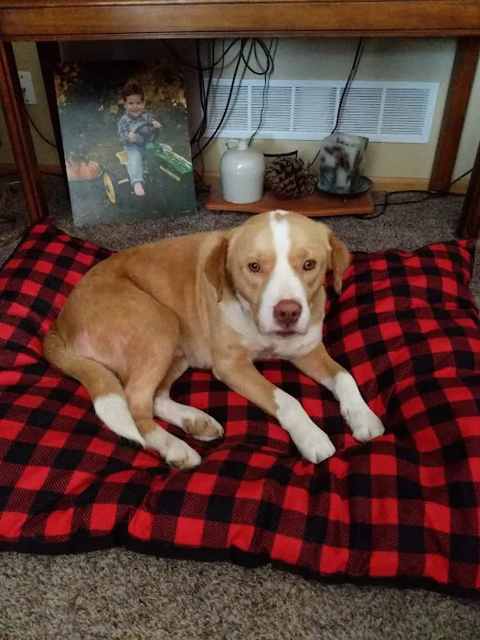 Crossroads Animal Shelter & Community Veterinary Clinic Picture 10