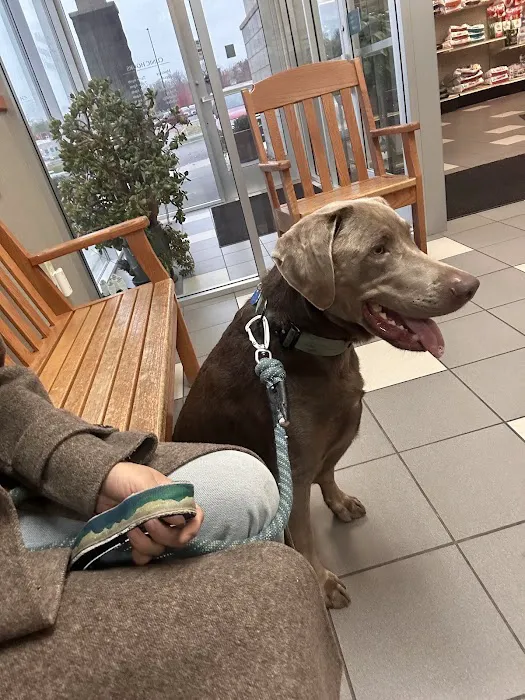Buffalo Companion Animal Clinic Picture 1