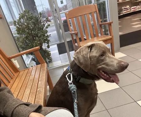 Buffalo Companion Animal Clinic