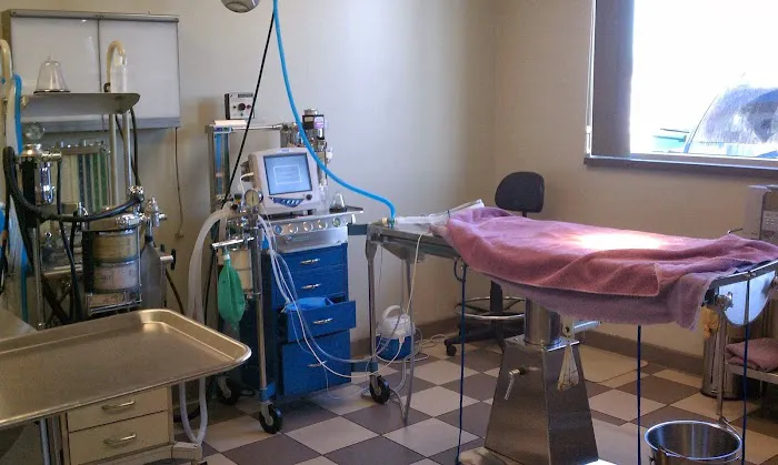 Buffalo Companion Animal Clinic Picture 8