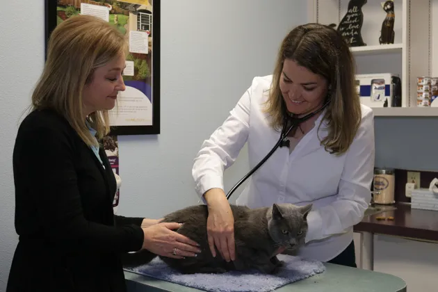 Kindness Family Pet Clinic Picture 1