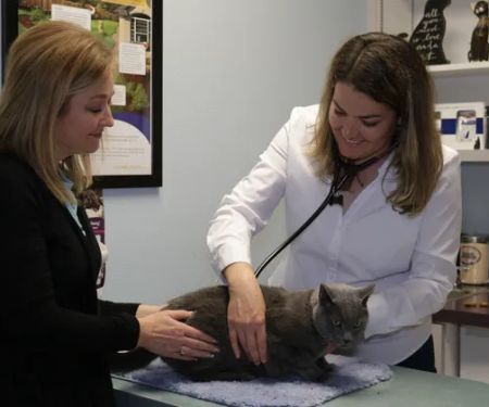 Kindness Family Pet Clinic