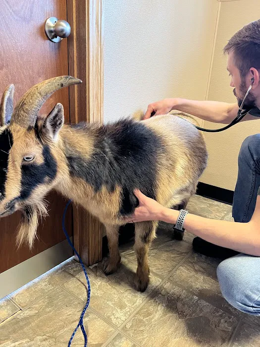 Banks Veterinary Service Picture 6