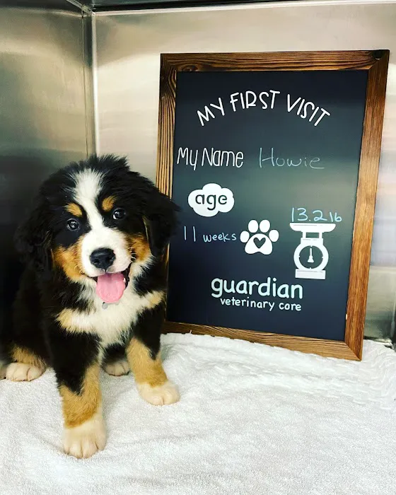 Guardian Veterinary Care Picture 1