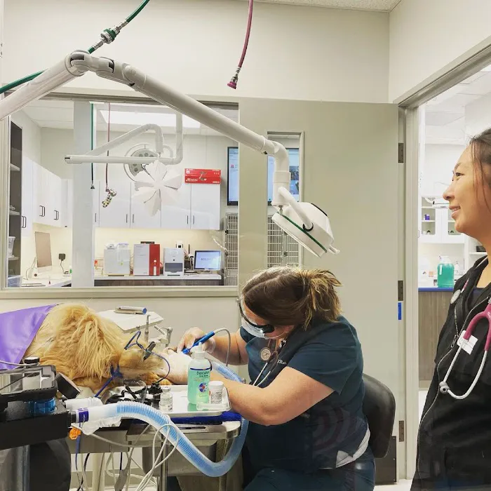 Guardian Veterinary Care Picture 10