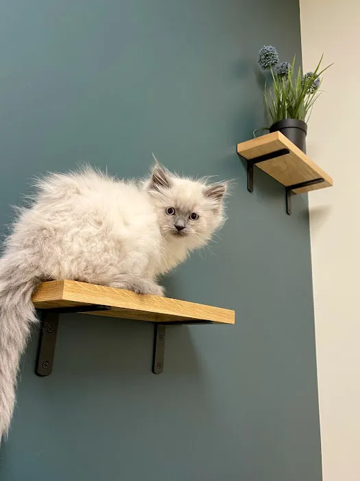 Guardian Veterinary Care Picture 8