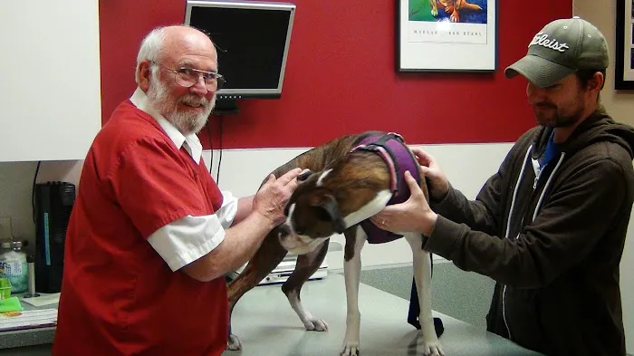 Crossroads Veterinary Hospital Picture 2
