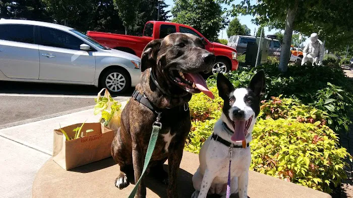 Crossroads Veterinary Hospital Picture 7
