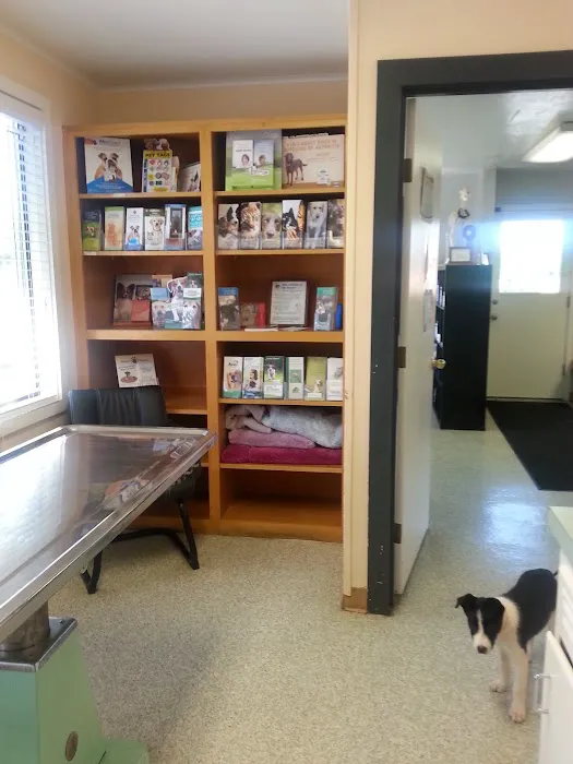 Abiqua Animal Clinic Picture 9
