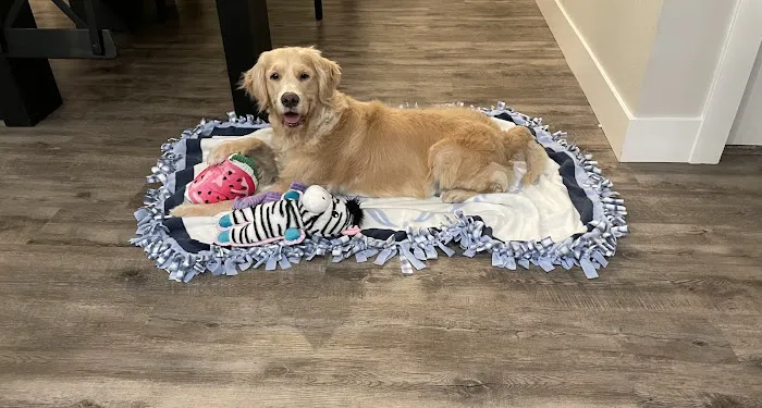 Silver Creek Animal Clinic LLC Picture 8