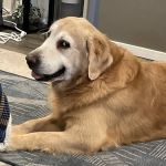 Woodburn Veterinary Clinic: Cochell, Debbie & Titus, Nancy DVM