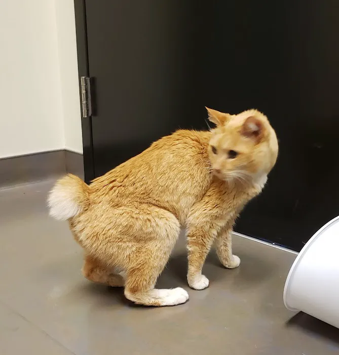 Woodburn Pet Hospital Picture 7